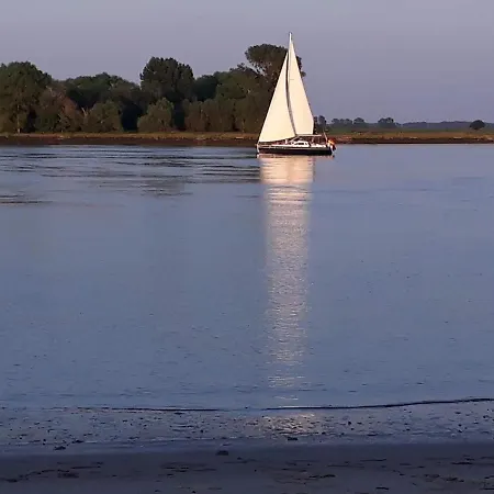 Strandblume