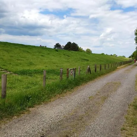 بيت للعطل Strandblume *